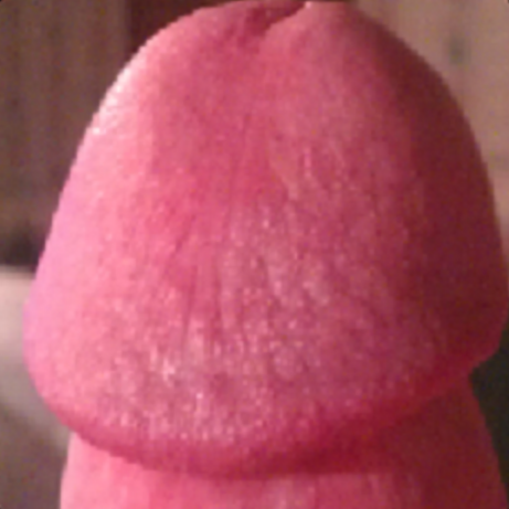 Cock8